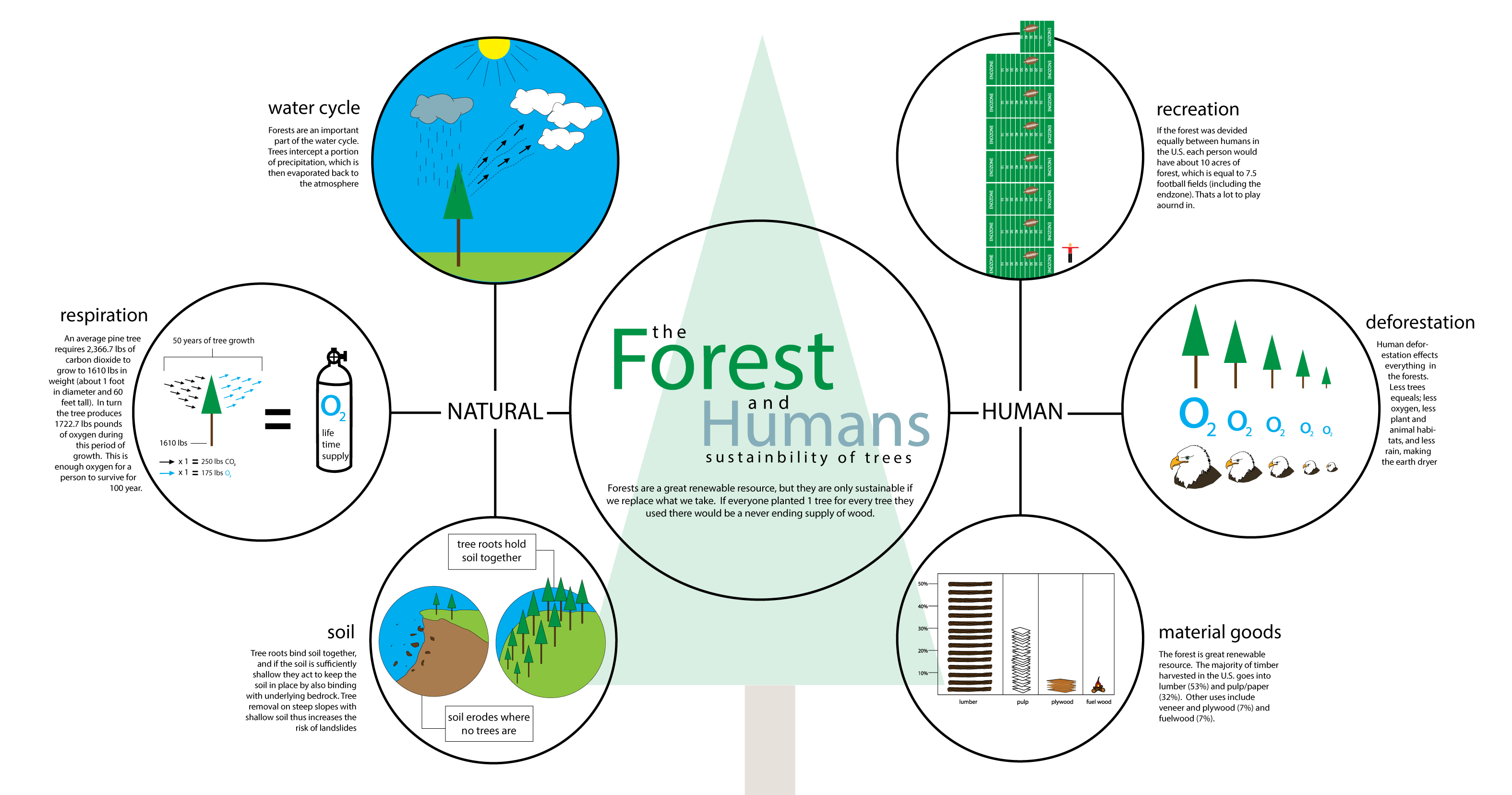Forest vs. Humanity Infographic